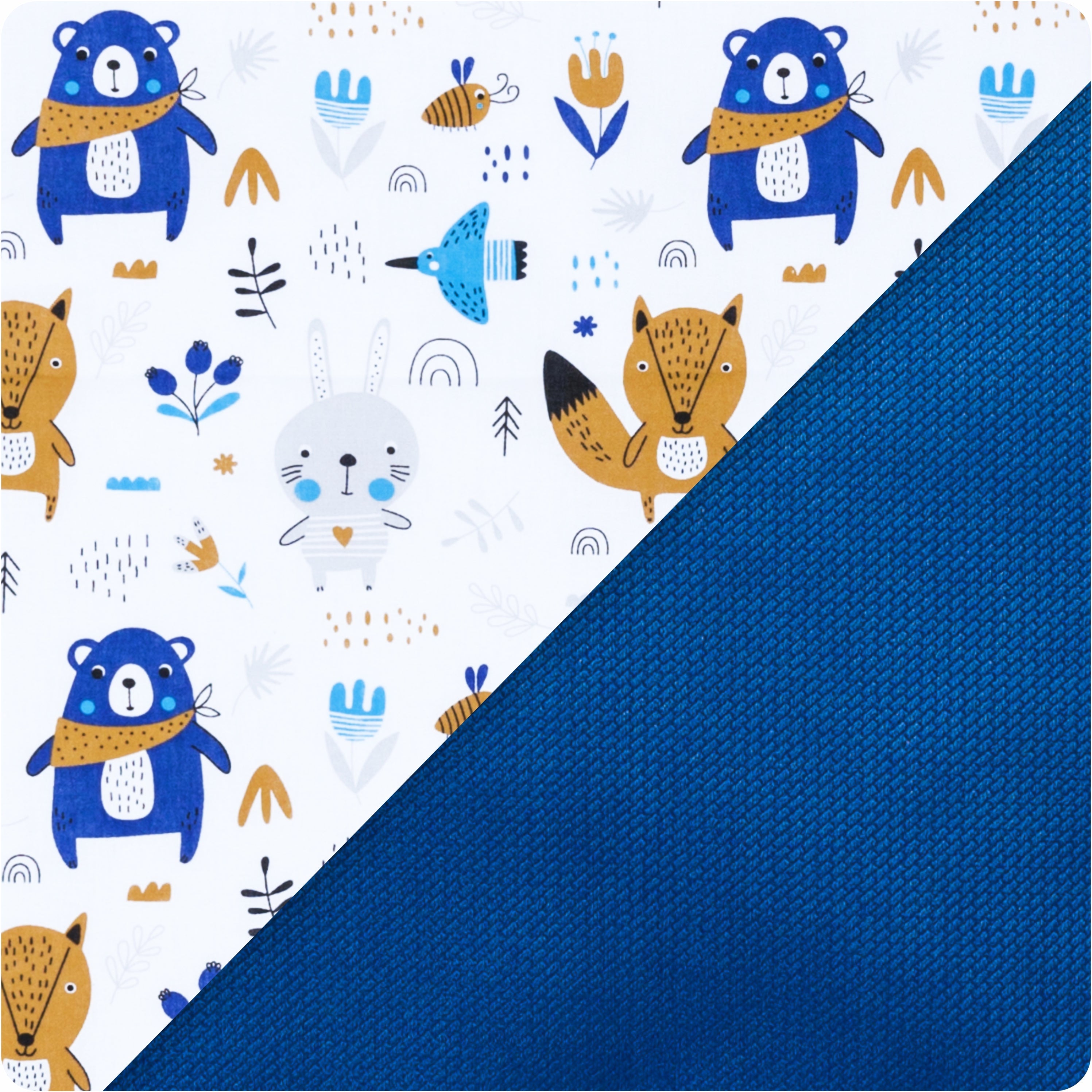 Blue Bear